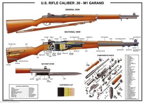 M1 Garand, Rifles, Ww2 Weapons, Crossbow Hunting, Battle Rifle, Cool Guns, Military Weapons ...