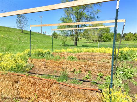 hay bale gardening before setup - Quirky and the Nerd