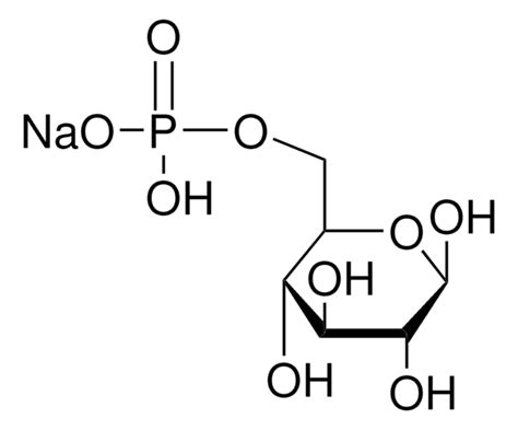 Glucose 6 Phosphate