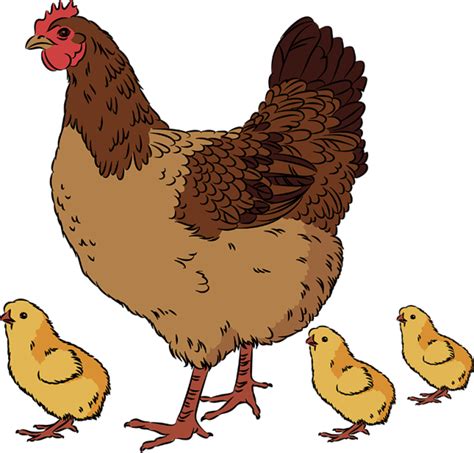 Hen and chicks clipart 20 free Cliparts | Download images on Clipground 2024