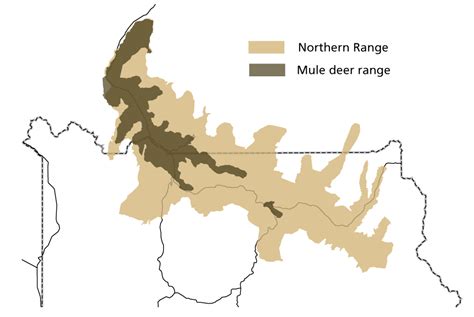 Mule Deer - Yellowstone National Park (U.S. National Park Service)