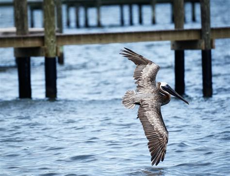 Best Flounder Fishing Spots in Florida- Top 5 Spots - EatThatFish.com