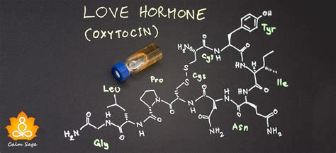 Oxytocin: The Love Hormone | Why We Need It | How We Can Get It