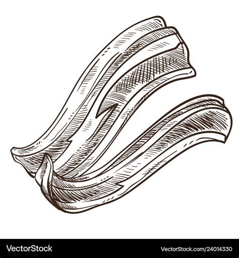 Bacon slices monochrome sketch outline isolated Vector Image