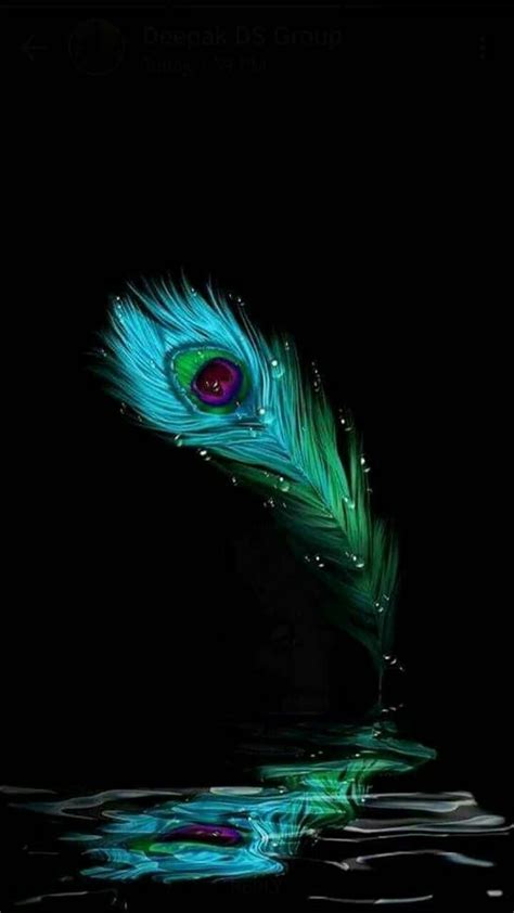 Peacock Feather Krishna