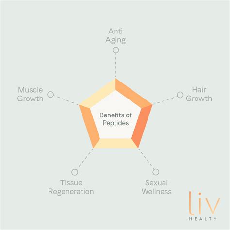 What Are Peptides And How Do They Work? – Liv HEALTH