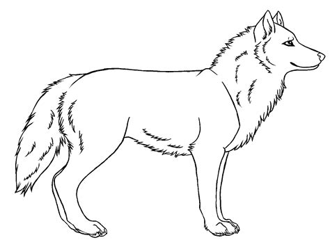 Wolf Drawing - Cliparts.co