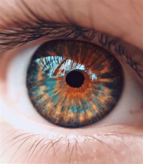 Different human eye colors - associationhery