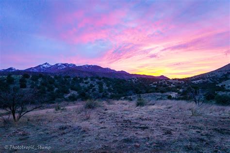 Homeward Bound – The Santa Rita Mountains