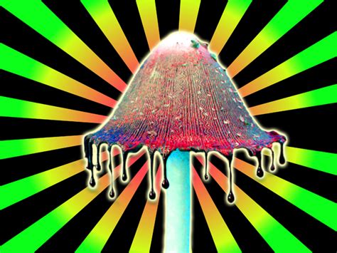 Neon Mushroom Wallpaper - WallpaperSafari