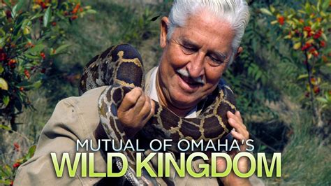 Mutual of Omaha's Wild Kingdom - NBC Reality Series