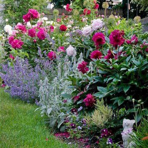 20+30+ Peony Garden Design Ideas