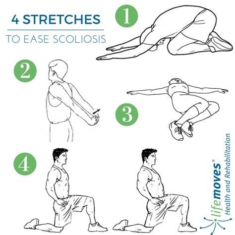 9 Stretches and Exercises for Scoliosis to Move with Ease | Lifemoves