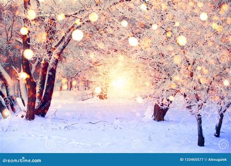 Winter Forest With Colorful Snowflakes. Snow Covered Trees With Christmas Lights. Christmas ...