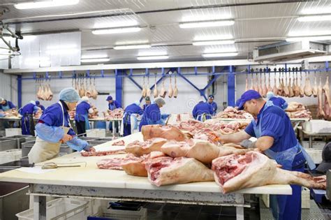 Cutting Meat in Slaughterhouse. Butcher Cutting Pork at the Meat Manufacturing. Stock Photo ...