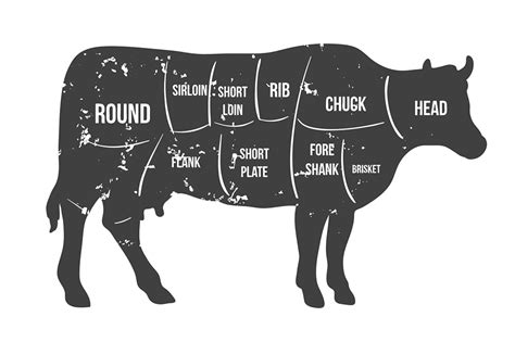 20 Cuts of Restaurant and Butcher Shop Beef (and How They Differ)