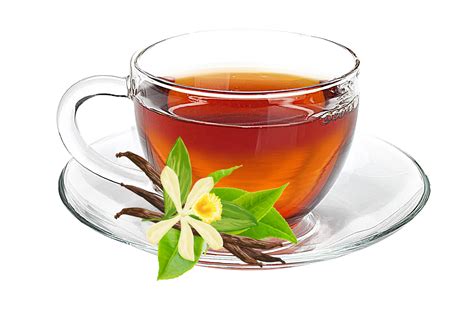 Cup of tea with fresh tea leaves on saucer transparant background PNG 16349669 PNG