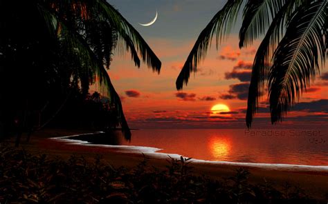 Tropical Sunset Wallpaper | Zoom Wallpapers