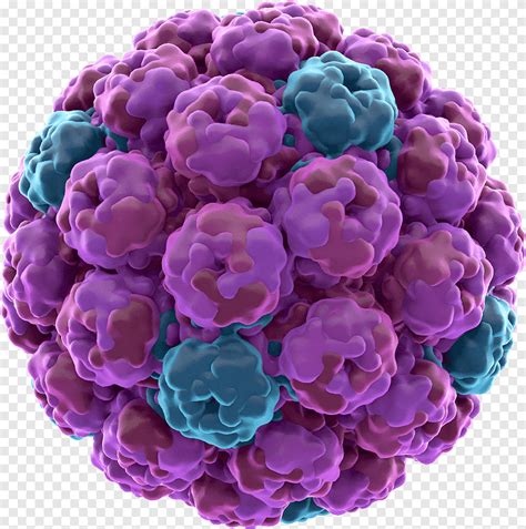 Rhinovirus SV40 Zika virus Biology, polyhedrosis virus, purple, violet png | PNGEgg