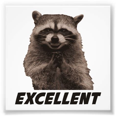 Excellent Evil Plotting Raccoon Photo Print | Zazzle.com