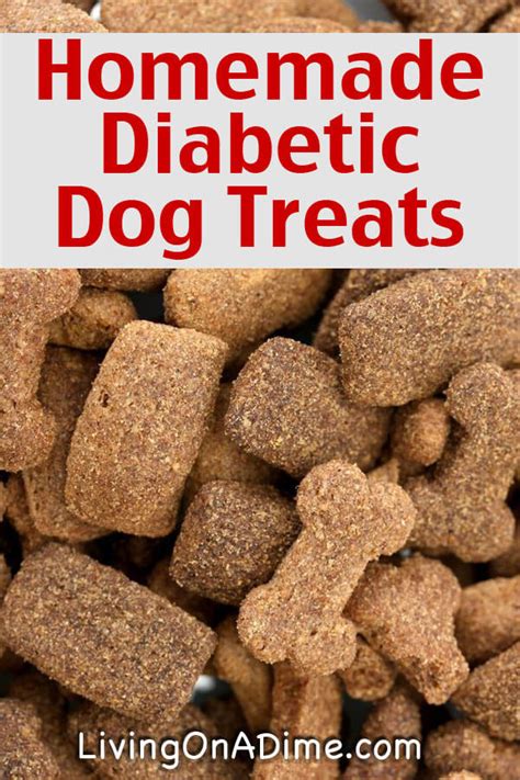 5 Homemade Treats Recipes For Your Dog and Cat