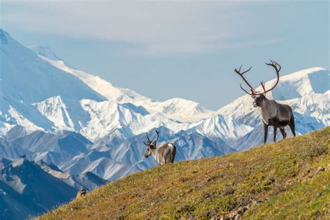 A Guide To Extreme Adventure in the Alaska Arctic Circle, From Someone Who Did It - Chia Sẻ Kiến ...