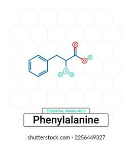 Phenylalanine Chemical Structure Essential Amino Acid Stock Vector (Royalty Free) 2256449327 ...