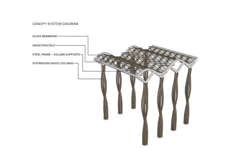 Forest Inspired Canopy Structure Design | Form and Performance