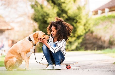 How to Train Your Dog to Safely Interact With Kids