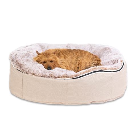 Pet Beds | Dog Beds - Designer Dog Bean Bags (Cappuccino) | Medium Size