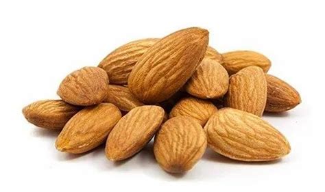 Almond Seed - Wholesale Price & Mandi Rate for Almond Seed in India