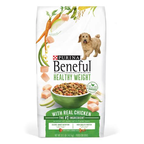 Feed your furry friend with the best: Top 10 healthy dog food options reviewed! - Furry Folly