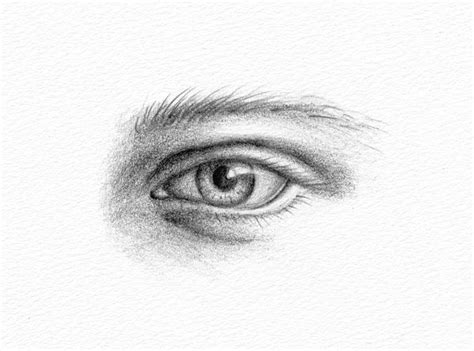 Pencil Portrait Drawing - How to Draw an Eye