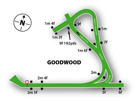 Goodwood Racecourse Guide in 2021 | Goodwood, Racecourse, Travel info