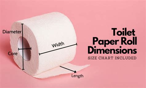 Toilet Paper Roll Dimensions (Size Chart Included)