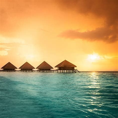 Best Tahiti Sunset Stock Photos, Pictures & Royalty-Free Images - iStock