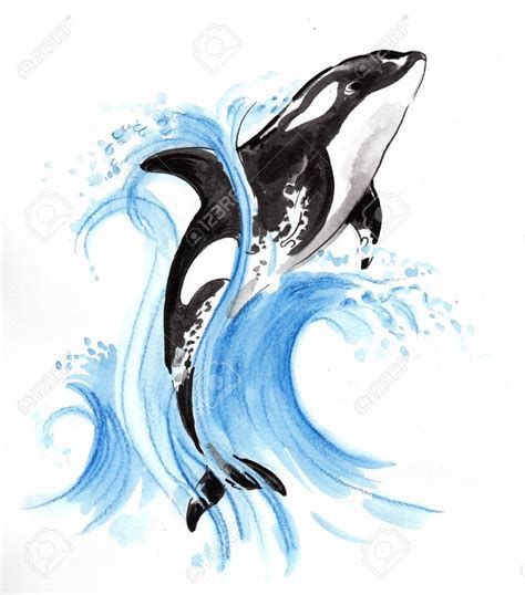 whale jumping out of water drawing - lilasarmainhoscuritiba