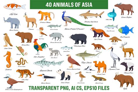 Endangered Animals In Asia