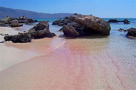 Top 10 Wonderful Pink Beaches in the World | Netsuggest.com