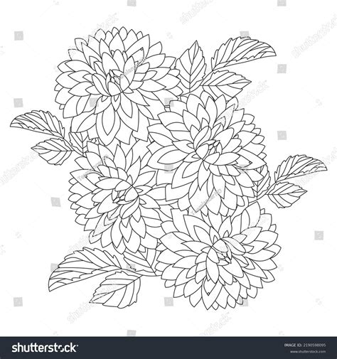 Dahlia Flower Illustration Pencil Stroke Doodle Stock Vector (Royalty Free) 2190598095 ...