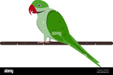 Green parrot ,illustration, vector on white background Stock Vector Image & Art - Alamy