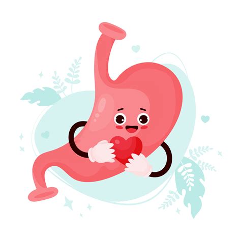 Cute cartoon stomach character. Funny smiling human organ with heart in his hands. Vector ...