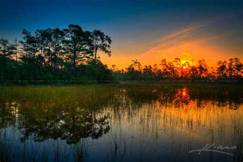 Wetland Slough in Jupiter Florida During Sunrise | HDR Photography by Captain Kimo