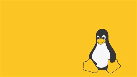 Linux Penguin Wallpapers - Top Free Linux Penguin Backgrounds - WallpaperAccess