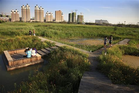 Qunli Stormwater Wetland Park / Turenscape | ArchDaily