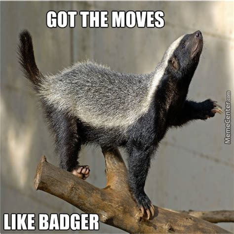 [Image - 718118] | Honey Badger | Know Your Meme