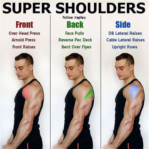 SUPER SHOULDERS by@apfau... | Shoulder workout routine, Deltoid workout, Best shoulder workout