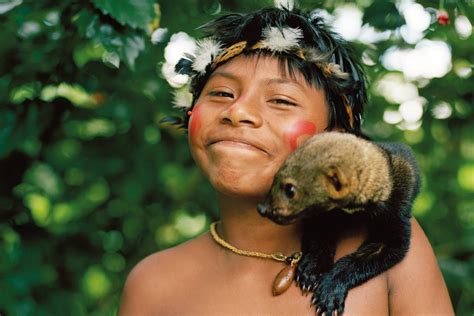 Native Animals In South America Rainforest