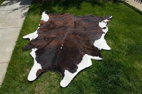 Cowhide Rug : Factory 20