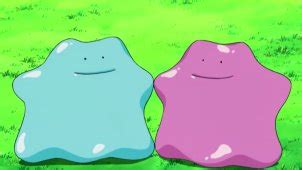 Shiny Pokémon: Ditto